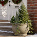 Tuinstekers 20 x 6 cm Staal Olijfgroen