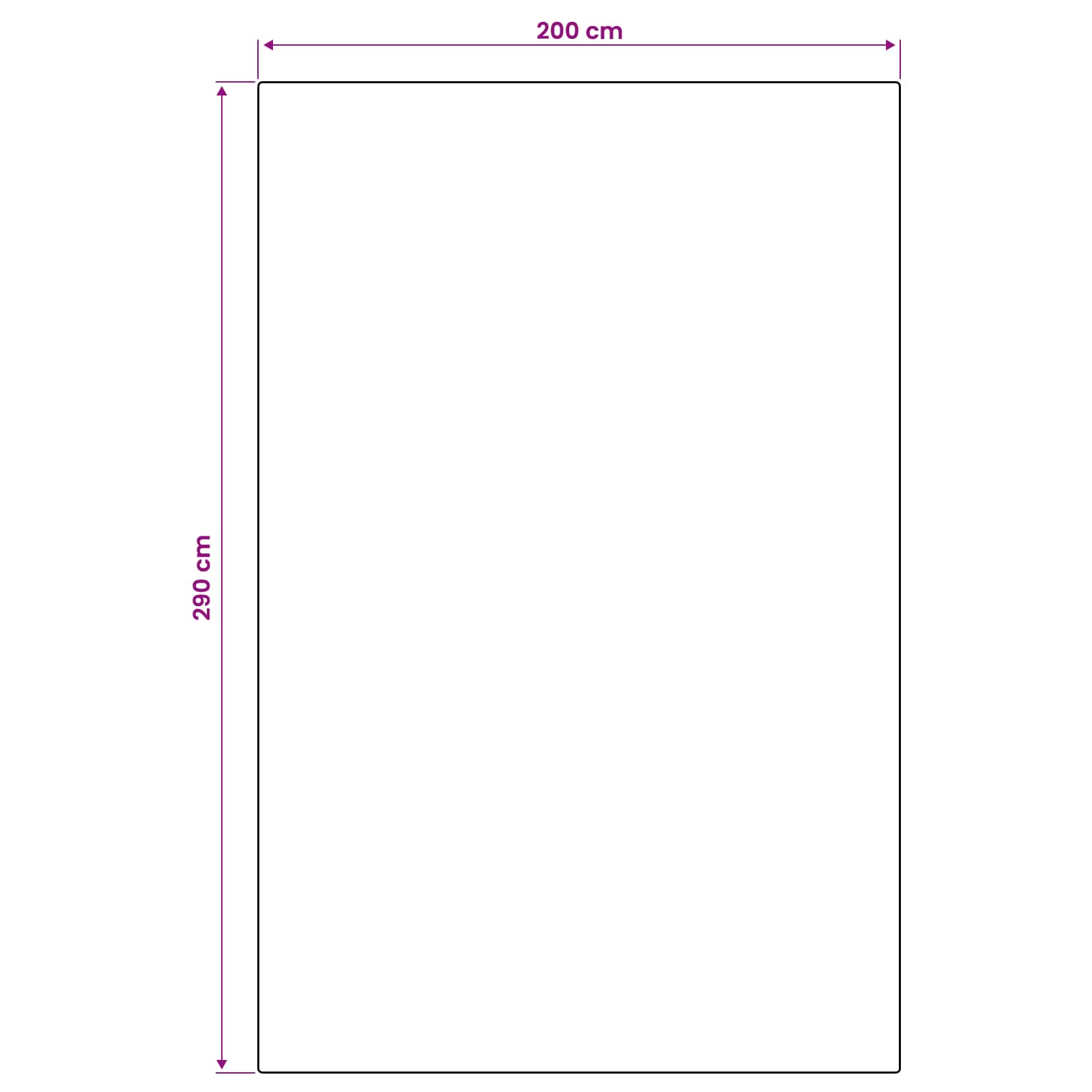 Gebied Tapijt Naturel en Zwart 200 x 290 cm PET