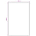 Gebied Tapijt Naturel en Zwart 200 x 290 cm PET