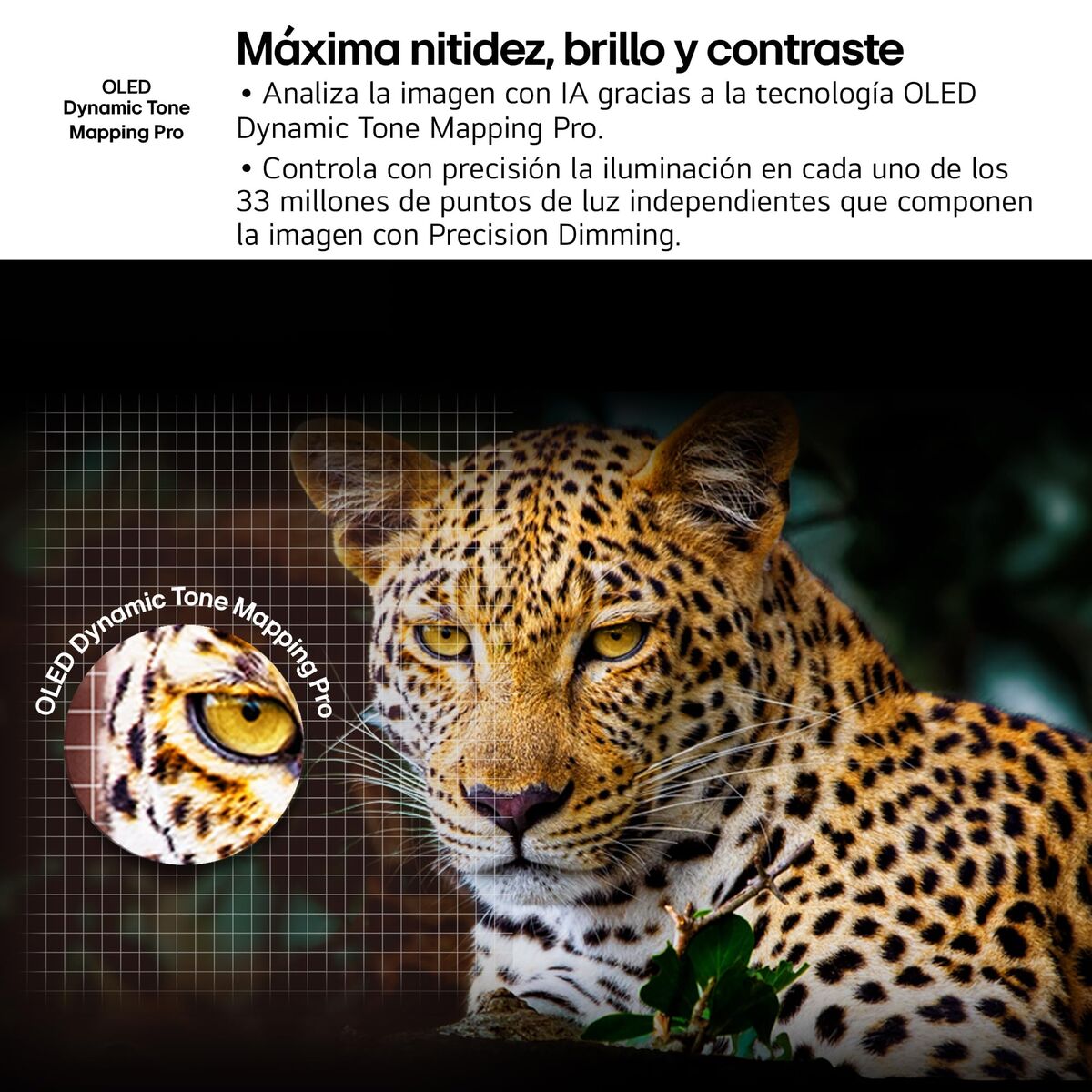 V3HF3A9B2218689854AC6D36159CAC0F04AR7655184P4