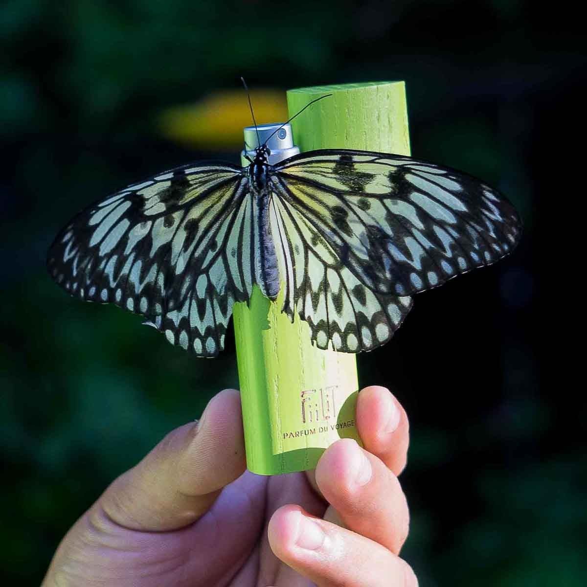 SAUDADE - AMAZONIA Eau de Parfum