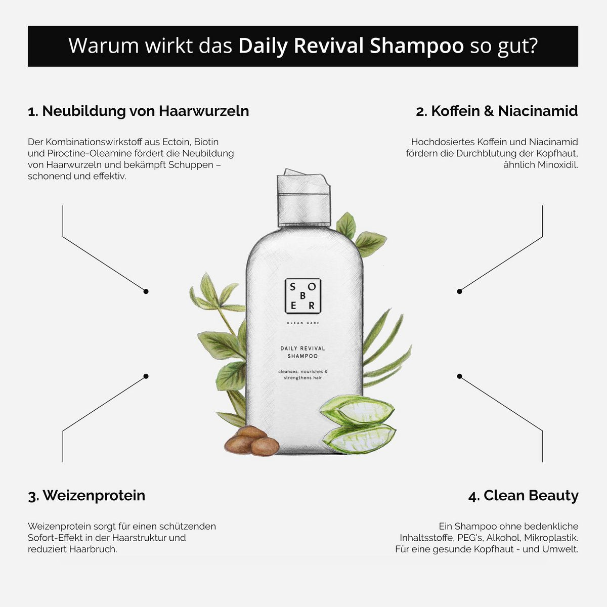 Dagelijkse Revival-shampoo