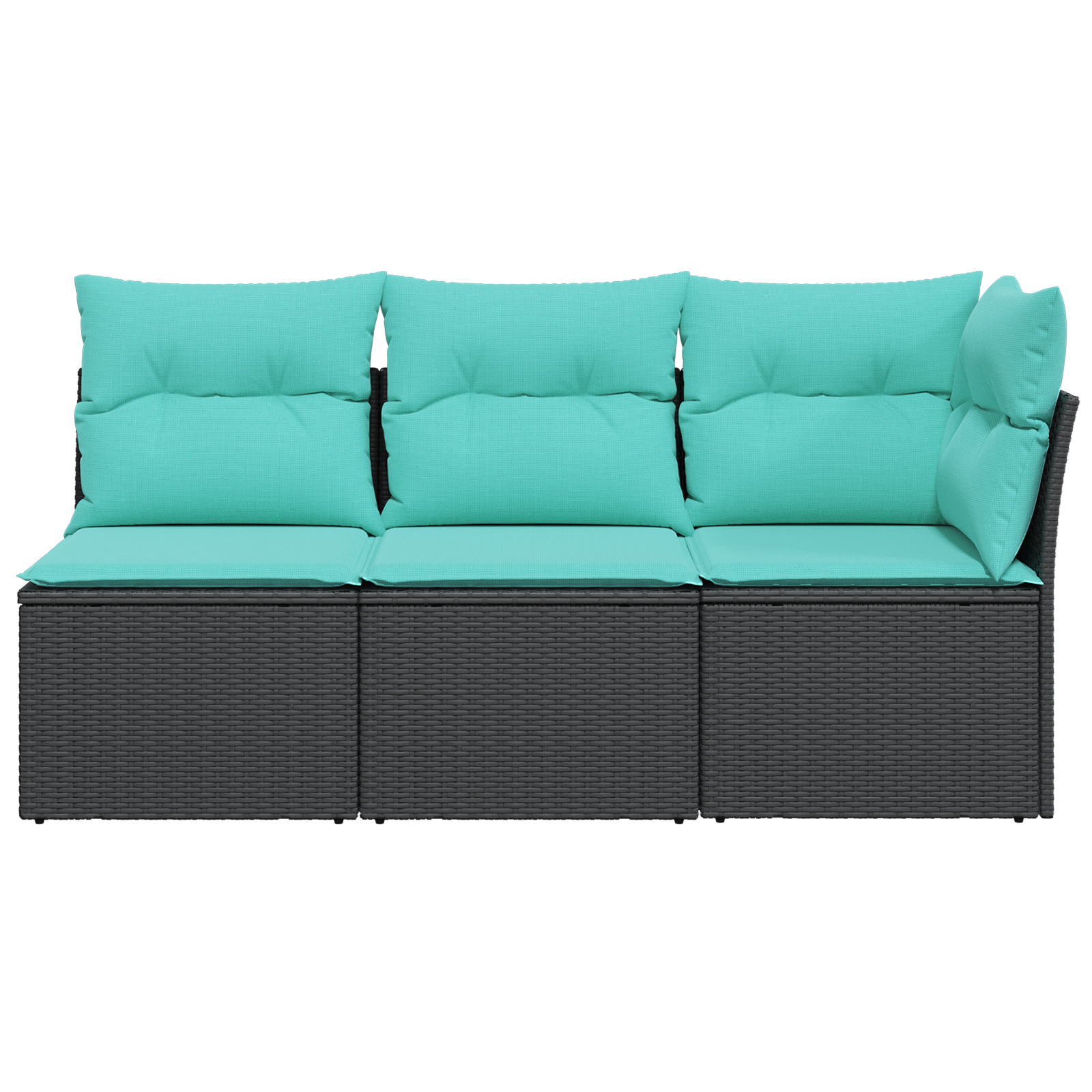 | Tuinbank | met kussen met opslag Zwart 172 x 62 x 69 cm Poly riet
