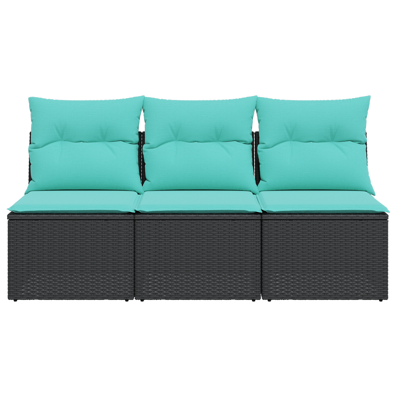 | Tuinbank | met kussen met opslag Zwart 165 x 62 x 69 cm Poly riet