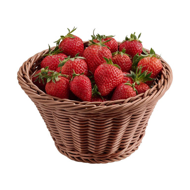 V2HC1F0D5321C1486B368DA7CBB9AF844F3R7601643P2