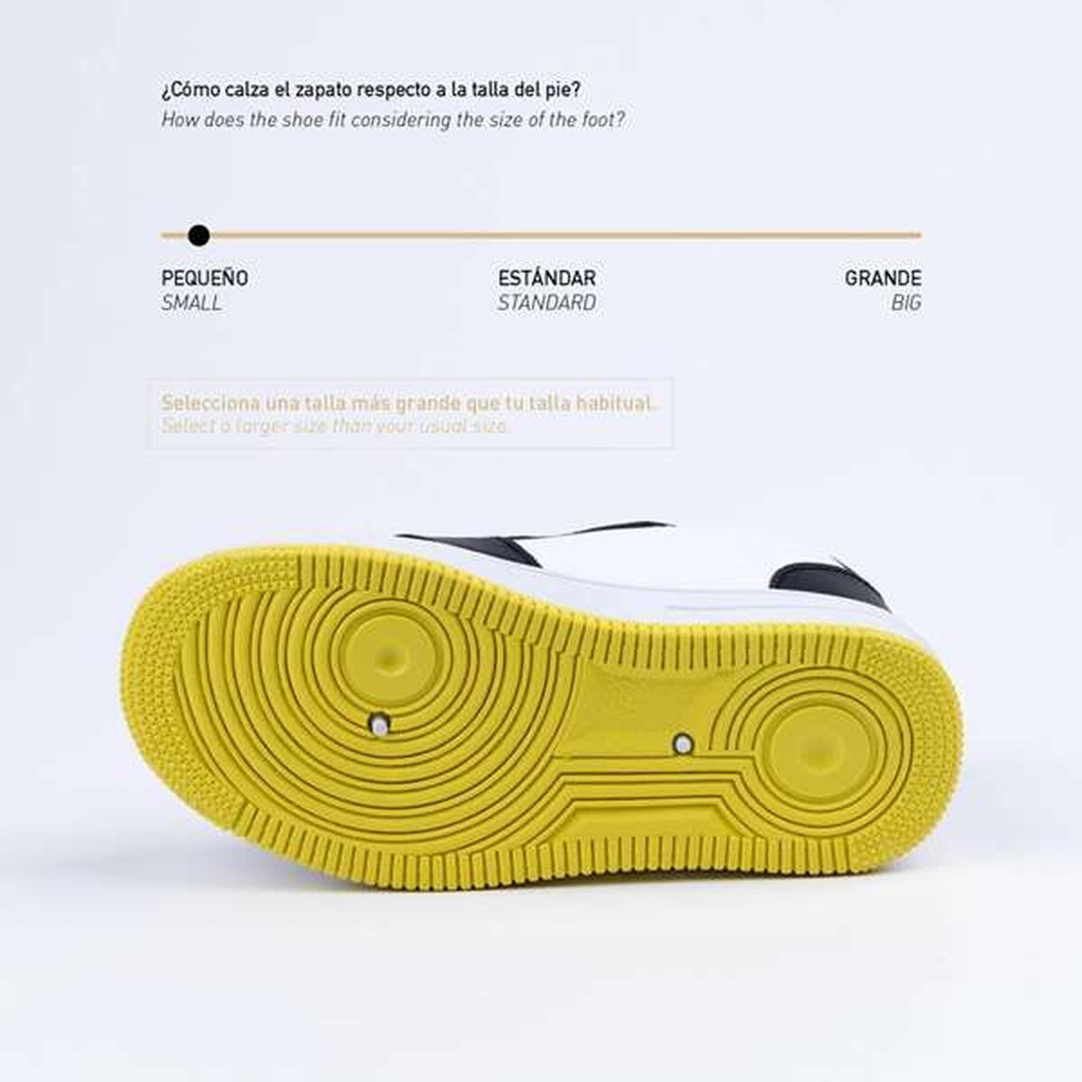 V6H4EA198CBE73B1D2F0EC1C80FD77E2D19R7262279P3