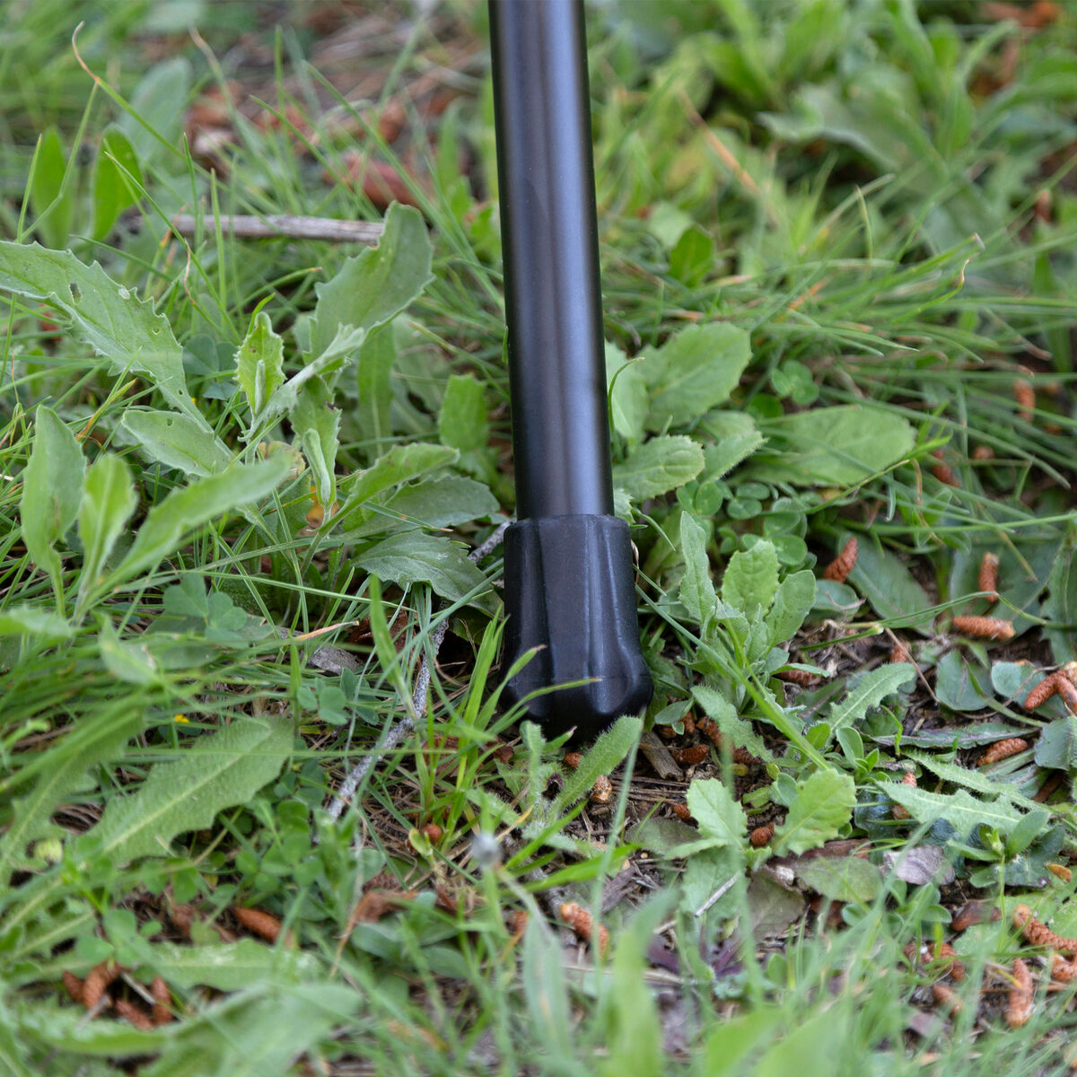 V4H5DBF91EBA6A6105B1695FDC17EEF43ADR7379412P7