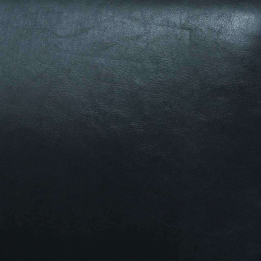 Tweezitsbank Kunstleer Zwart