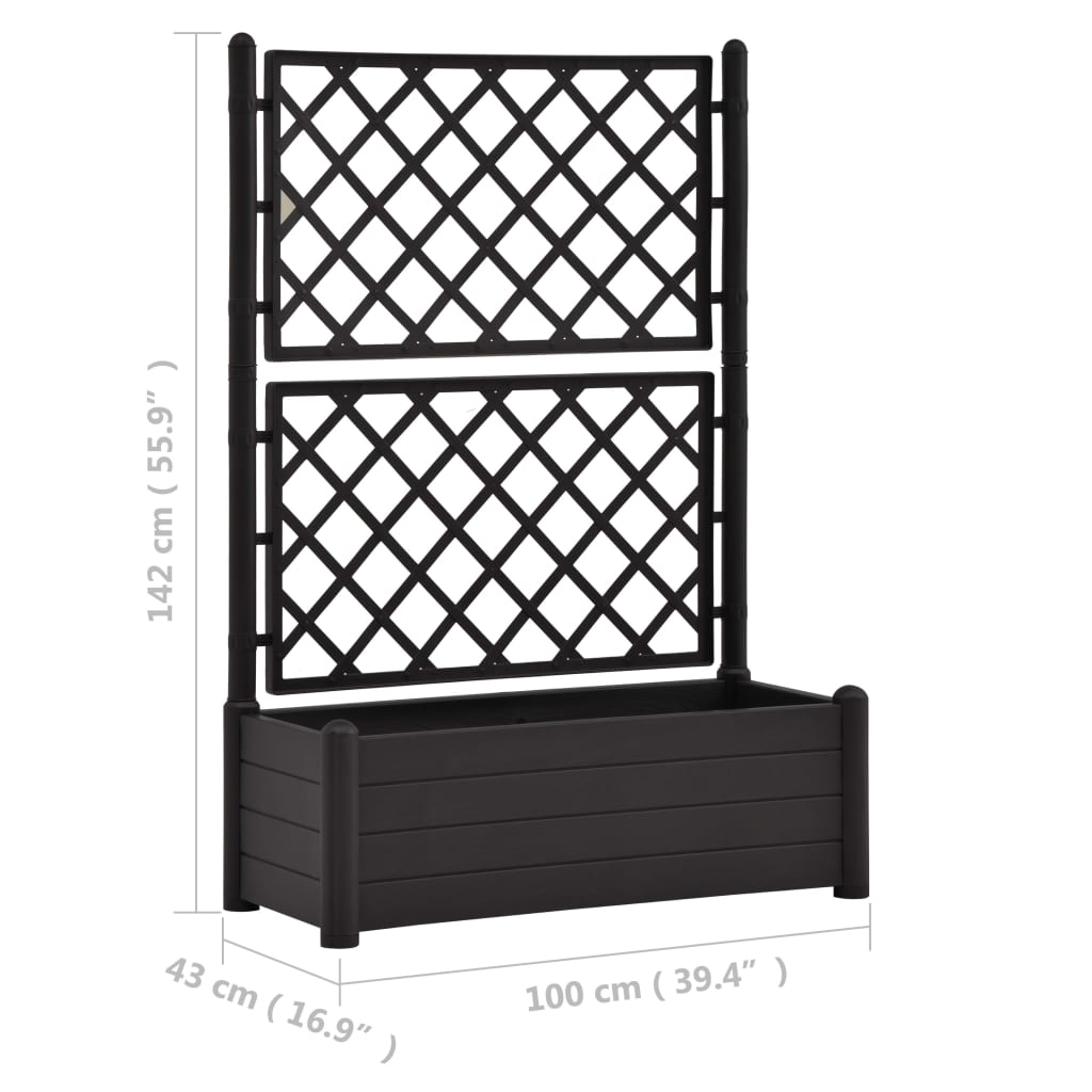 Plantenbak Met Latwerk 100X43X142 Cm Pp Antraciet