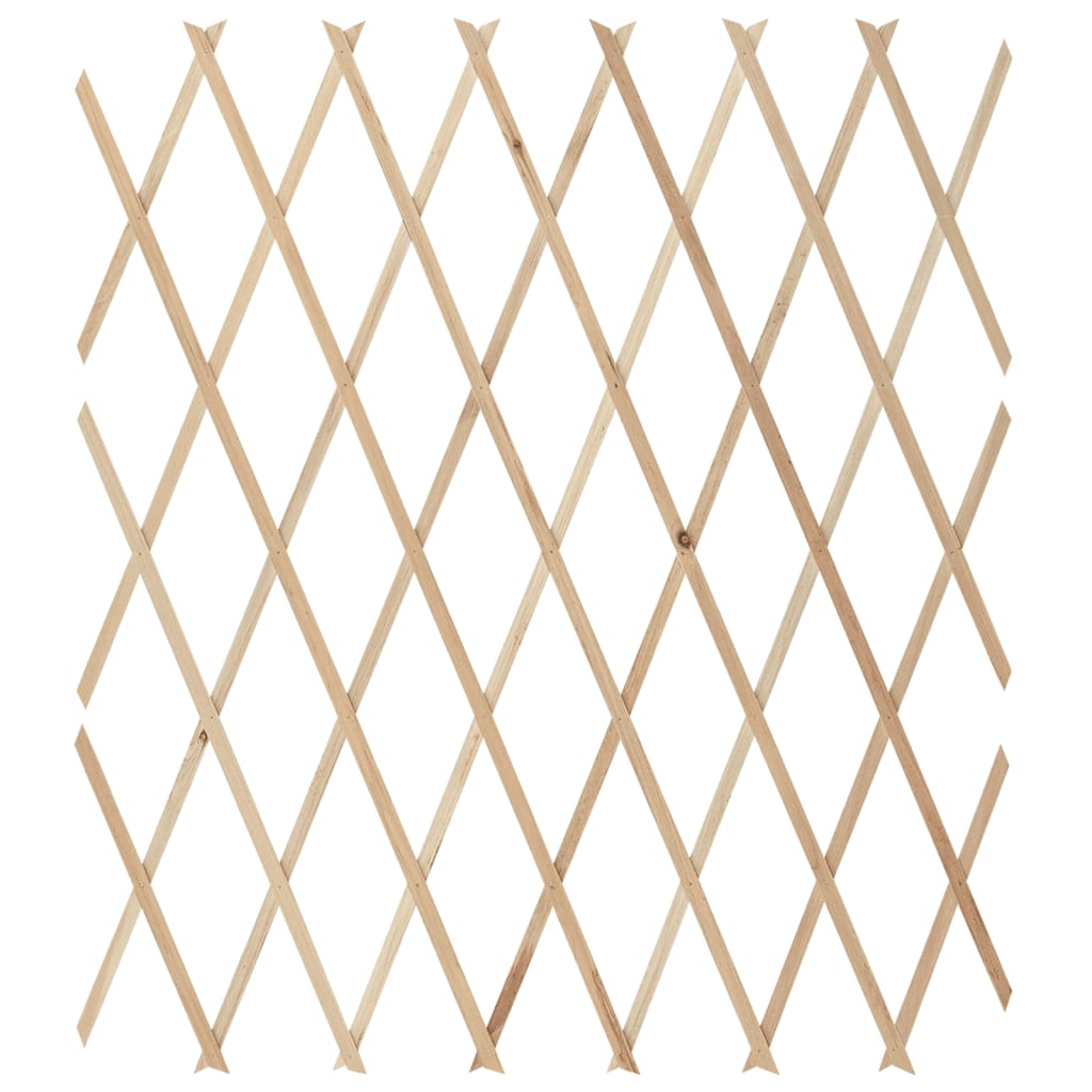 Tuinlatwerken 5 St 180X80 Cm Massief Vurenhout