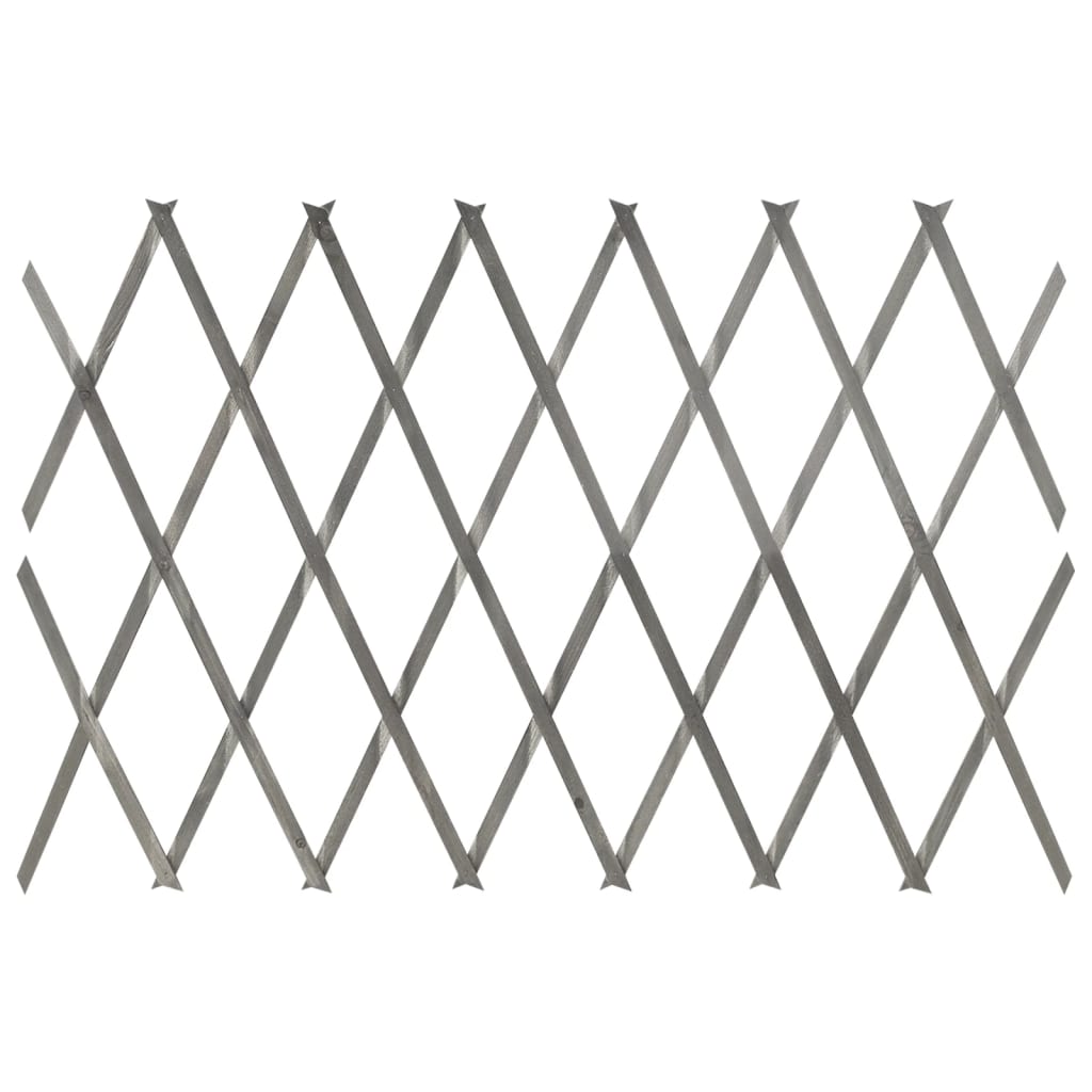 Tuinlatwerken 5 St 180X60 Cm Massief Vurenhout Grijs