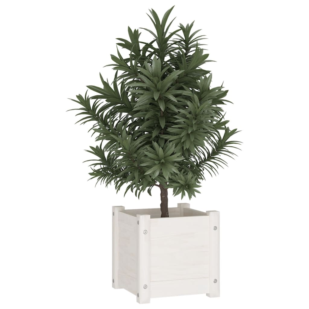 Plantenbak 31X31X31 Cm Massief Grenenhout Wit
