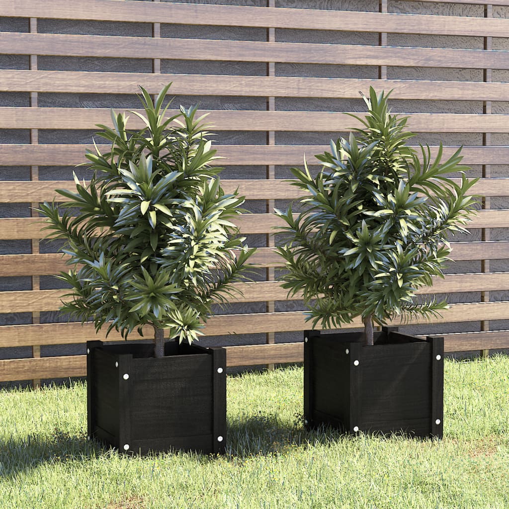 Plantenbakken 2 St 31X31X31 Cm Massief Grenenhout Zwart