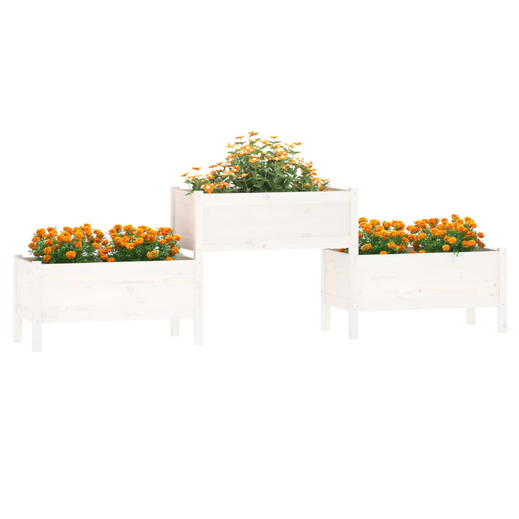Pflanzgefäß 245,5 x 44 x 75 cm, massives Kiefernholz, weiß