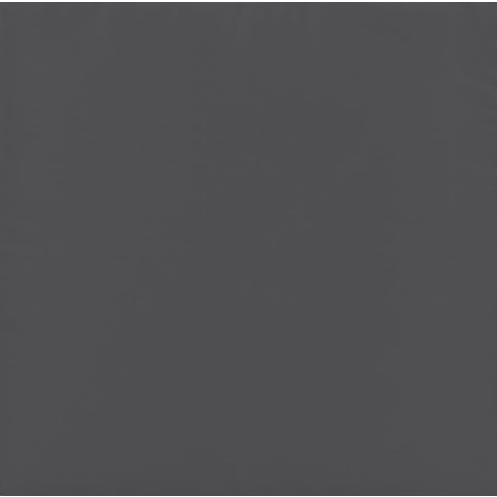 Voetensteun Met Kussen Poly Rattan Grijs